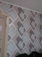 1/3 доли квартиры, 47,7 кв.м, Забайкальский край, Шилкинский р-н, пгт Первомайский. 1/3 доли в праве собственности на квартиру, назначение: жилое, этаж 1, площадь 47,7 кв.м., кадастровый номер 75:24:340415:479, по адресу: Забайкальский край, м.р-н Шилкинский, пгт. Первомайский, ул. Строительная д…