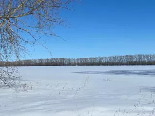 Доля в размере 1/2 в праве общей долевой собственности на земельный участок, категория земель: земли сельскохозяйственного назначения – для ведения сельскохозяйственного производства, площадь: 337 000 кв. м, кадастровый номер 54:13:025312:349, местоположение: Новосибирская область, Краснозерский…