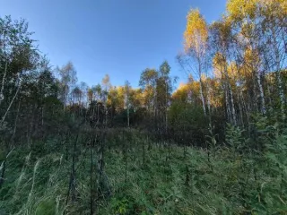Земельный участок КН 50:18:0020402:762 площадь 1359 кв.м Московская область Площадь земельного участка: 1359 Кадастровый номер земельного участка: 50:18:0020402:762 Основной вид разрешенного использования: 2.1