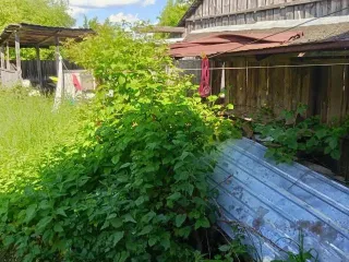 Доли в праве на жилой дом 53.8 кв.м и земельный участок 750 кв.м Рязанская обл 1/4 доля дома и 1/2 доля земельного участка в Рязанской обл. Земельный участок, площадь 750 кв.м., адрес (местонахождение): 391234, Рязанская обл, Кораблинский р-н, деревня Октябрь, ул Октябрьская, д 59, кадастровый…