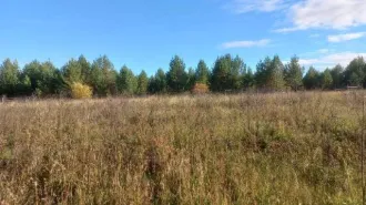 Земельный участок 1500 кв.м для индивидуального жилищного строительства. Иркутская область, Иркутский район, сельское поселение Ширяевское, деревня Ширяева, улица Надежды, земельный участок 39. Кадастровый номер: 38:06:111302:6076.