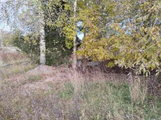 Нежилое здание 36 кв.м и земельный участок 1776 кв.м в Ленинградской области. Объект расположен по адресу: Ленинградская область, Гатчинский район, деревня Большие Борницы, улица А. Золотарева, дом 1. Кадастровые номера: 47:23:0147002:313 (здание), 47:23:0147002:343 (земельный участок). Земельный…