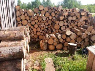 Древесина ель береза сосна осина годные остатки Древесина пород ель, береза, сосна, осина, иной породы, в виде стволов, частей стволов, бревен, чурок, дров (годные остатки) Стволы деревьев породы ель, (3 шт.); Стволы деревьев породы береза, 4 шт.; стволы деревьев породы сосна, 2 шт.; стволы…