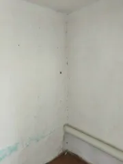 1/3 Доля дома 60 кв.м и 1/3 доля участка 3000 кв.м, Новосибирская обл., с. Сурково. Право общей долевой собственности (доля в праве – 1/3) на жилой дом, назначение: жилое, общей площадью 60 кв.м., этажность: 1, в т.ч. подземных этажей – 0, кадастровый №54:24:050901:101, расположенный по адресу…