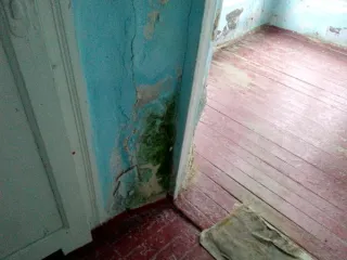 Помещение 62,4 кв. м, Курганская область, Каргапольский муниципальный округ, с. Сосновка, ул. Центральная, д. 8, помещение 2. Назначение: нежилое, площадь 62,4 кв. м, расположено на 1 этаже, кадастровый номер: 45:06:041401:766.