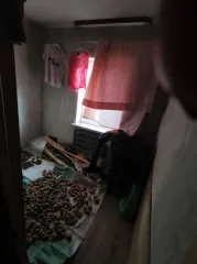 1/14 доли жилого дома 40,6 м² и аренда участка 948 м², Березники, Пермский край. Доля в праве на жилое здание, площадь: 40,6 кв.м., кадастровый номер: 59:03:0000000:7703, и право аренды на земельный участок, площадь: 948 кв.м., категория земель: земли населенных пунктов, разрешенное использование…