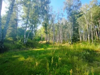 Земельный участок, 495300 кв.м, Нижегородская область, Сокольский район Имущество АО «КАПИТАЛ АСИСТАНС»: земельный участок, кадастровый номер 52:07:0800006:1592, 495300 кв.м. Земельный участок для индивидуального жилищного строительства, земли населенных пунктов, кадастровый номер…