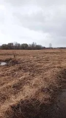 Земельный участок, 735 кв.м, Московская область, кадастровый номер: 50:23:0050446:1473, расположенный по адресу: Российская Федерация, Московская область, Раменский, сельское поселение Рыболовское, земельный участок расположен в центральной части кадастрового квартала 50:23:0050446.