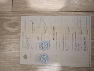 ГАЗ 2752 Соболь, 2006 года выпуска, VIN: X9627520060462461, Х370МА47, совместная собственность. Ознакомление с имуществом производится по адресу: Россия, Свердловская область, город Нижний Тагил, ул. Чайковского 59 (у 1-го подъезда), предварительно направив заявку на ознакомление на электронную…