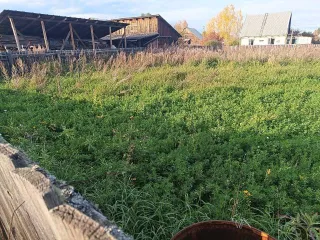 Земельный участок 1200 кв.м, Иркутская обл., Братский р-н, п. Зяба, ул. Майская, д. 6. Назначение: земли населённых пунктов. Кадастровый номер: 38:02:040401:37. Находится в совместной собственности.