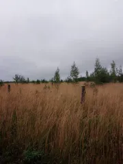 Доля земельного участка 3738 кв.м. 1/5 доли в праве общей долевой собственности. Кадастровый номер: 59:12:0390005:389. Адрес: Россия, Пермский край, с. Фоки, ул. Рагузинская, дом 97. Площадь 3738 +/- 43 кв.м. Категория земель: земли населенных пунктов. Вид разрешенного использования: для ведения…