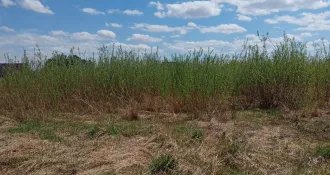 Земельный участок 1103 кв.м, Алтайский край. 1/4 доля в праве собственности на земельный участок, категория земель: земли населенных пунктов, виды разрешенного использования: для ведения личного подсобного хозяйства, кадастровый номер: 22:39:032001:12, площадь: 1103 +/- 23 кв.м., расположенный по…