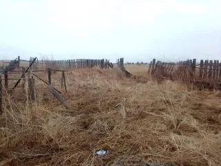 Дом и земельный участок, 1/4 доли, Иркутская область. 1/4 доля дома и 1/4 доля земельного участка в Иркутской обл. Еще 1/4 доля дома и 1/4 доля земельного участка в Иркутской обл. Еще 1/4 доля в здании, площадь 36.2 кв.м., назначение: жилое, количество этажей: 1, адрес (местонахождение): Россия…