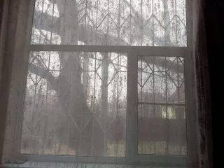 Жилое помещение, площадь: 16,2 кв.м., кадастровый номер: 30:12:030650:1864
Адрес (местонахождение): Астраханская область, городской округ город Астрахань, город Астрахань, улица Безжонова, дом 92, квартира 93,