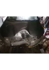 Honda Civic, 2008 года, 140 лс, автомобиль легковой, марка: Honda, модель: Civic, VIN: SHHFK27608U049373, гос. рег. номер: М051ВА116, год изготовления: 2008 (стоимость транспортного средства равна стоимости годных остатков).
