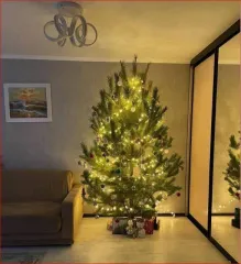 Квартира в Ямало-Ненецком АО, г. Ноябрьск, ул. Республики, д.46, кв.15. Площадь 37 кв.м, 1 комната. Кадастровый номер: 89:12:110606:1162. Объект может быть приобретен с использованием заемных средств ПАО "Сбербанк".