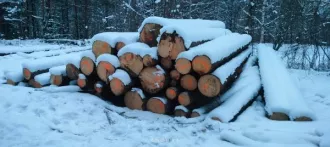 Годные остатки: древесина породы «ель», 438,41 куб. м. Реализуется в качестве годных остатков, а также в качестве вторичного сырья, лома, утиля. Описание лота см. в разделе "документы" п. 3 извещения (информационного сообщения). Имущество продается в том виде, в каком оно есть, и в случае продажи…