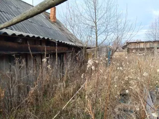 Жилой дом, кадастровый номер: 59:26:1010101:101, площадь: 56,4 кв.м, адрес  местонахождение : Российская Федерация, край Пермский, городской округ Нытвенский, деревня Гуслята, улица Центральная, дом 4.