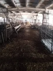 Нежилое здание 1049.1 кв.м Кемеровская область, п. Красная Горка (Свинарник). Кадастровый номер 42:06:0106002:212.