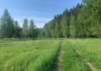 Земельный участок, кадастровый номер: 50:16:0502056:441, находящийся по адресу: Московская обл., Ногинский р-н, ЗАО «Электростальское». Виды разрешенного использования объекта недвижимости: пищевая промышленность. Площадь: 44142 +/- 147,07 кв.м. Находится в залоге у Morskoi Bank (AO).