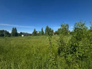 Земельный участок, площадь 1553 кв.м, Московская область, КН 50:29:0010402:3147, основной вид разрешенного использования: 2.2
