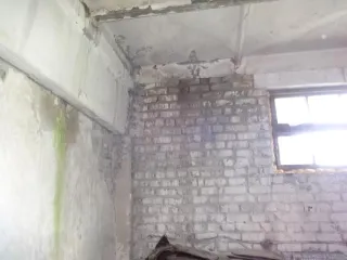 Земельный участок 5300 кв.м и здания 394.7 кв.м, Брянская область, Брасовский р-н, рп. Локоть, ул. Маркова, д. 3А. Земельный участок площадью 5300 кв.м, кадастровый номер 32:01:0280620:11, с расположенными на нем объектами недвижимого имущества: здание лаборатории площадью 143,2 кв.м с кадастровым…