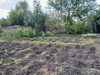 Земельный участок 400 кв.м, Республика Башкортостан, адрес (местонахождение): Российская Федерация, Республика Башкортостан, м.р-н Мелеузовский, г.п. город Мелеуз, г Мелеуз, тер. Садоводческое Товарищество №4 Строитель Открытого Акционерного Общества Мелеузстрой, з/у 5/65, категория земель: Земли…