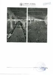 Коровник 3495.5 кв. м, участок 5578 кв. м, Еврейская АО. Кадастровый номер здания 79:03:2700003:96, земельного участка 79:03:2700003:67. Вид разрешенного использования - для ведения личного подсобного хозяйства. Местонахождение: Еврейская автономная обл., Ленинский р-н, с. Новое, ул. Набережная, д…