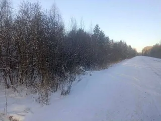 Земельный участок 1082 кв.м. Тюменская область, Нижнетавдинский район, 2,8 км на юго-восток от села Тандашково (деревня Красный Яр, улица Депутатская, №1). Кадастровый номер: 72:12:0602001:989. Категория земель: Земли населенных пунктов, вид разрешенного использования: Для ведения личного…