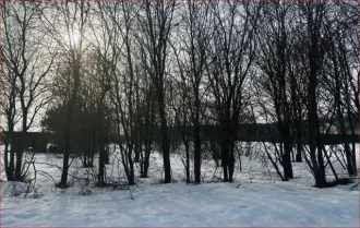 Земельный участок в Московской обл., 850 кв.м. еще Земельный участок, площадью: 850кв.м., с кадастровым номером: 50:29:0020212:1448, расположенный по адресу: Российская Федерация, Московская область, Воскресенский, с. Барановское.