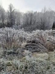 Земельный участок 257 кв.м, Марий Эл. Категория земель: земли населенных пунктов, разрешенное использование: для ведения садоводства, кадастровый номер: 12:16:0102001:1311, по адресу: Республика Марий Эл, г.Волжск, с/т «Илеть».