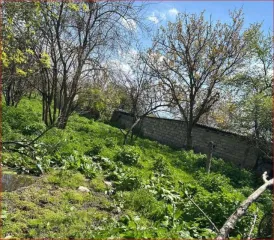 1/2 доля жилого дома, 76,8 кв.м, с. Новый Батако, РСО-Алания. Доля в праве на жилой дом, площадь: 76,8 кв.м., адрес (местонахождение): РСО-Алания, с. Новый Батако, ул. Бзарова, д.22, категория земель: Жилой дом, кадастровый номер: 15:03:0150127:17