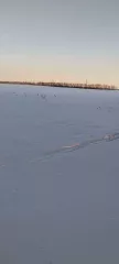 Земельный участок для возделывания сельскохозяйственной культуры. Местоположение установлено относительно ориентира, расположенного в границах участка. Почтовый адрес ориентира: Республика Башкортостан, Бижбулякский район, Михайловский сельсовет. Площадь: 51869577. Кадастровый номер…