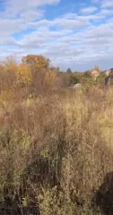 Земельный участок в Владимирской обл., 1000 кв.м. Земельный участок, площадью 1000  одна тысяча  кв.м. с кадастровым номером №33:05:120802:157, находящийся по адресу: Владимирская область, Суздальский район, Суздальский район, МО Павловское  сельское поселение , с. Суходол, ул. Владимирская, дом…