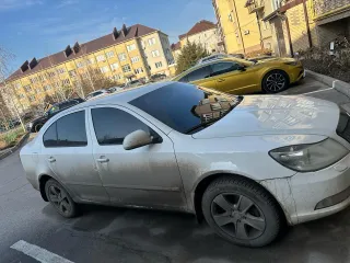 Skoda Octavia 2012 года, VIN TMBBK61Z2D2076736.