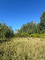 Аренда земельного участка 15000 кв. м Краснодарский край пгт. Ильском кадастровый номер 23:26:0502043:374