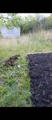 Земельный участок, 490 кв.м, Ульяновская область, 490+/-8 кв.м, адрес (местонахождение): Россия, обл Ульяновская, г Ульяновск, ст Динамо, дом 119, кадастровый (условный) номер: 73:19:084001:146