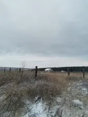 Земельный участок, площадью 1072+/-23 кв.м, кадастровый №24:04:0301001:874, расположенный по адресу: Красноярский край, местоположение установлено относительно ориентира, расположенного в границах участка: почтовый адрес: Красноярский край, Березовский район, ДНТ «Восточное» участок №130. Начальная…