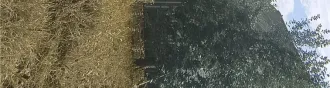 Земельный участок с кадастровым номером 72:01:0104001:594, площадью 493 +/  16 кв. м, расположенный по адресу: Тюменская область, Абатский район, территория СНТ «Строитель», ул. № 7, участок 18, с расположенным на нем кирпичным строением  дачный дом  площадью 16 кв. м. Земельный участок с…