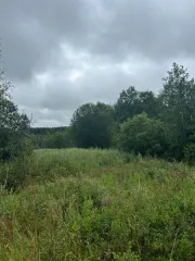 Аренда земельного участка 1084 кв.м для ЛПХ в г.о. Клин (КН 50:03:0060413:756) Площадь земельного участка: 1084 Кадастровый номер земельного участка: 50:03:0060413:756 Вид разрешённого использования земельного участка: 2.2