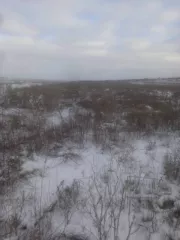 Земельный участок, площадь 7090 кв.м., адрес  местонахождение : Россия, Чувашская Республика, р н Комсомольский, Полевосундырское, Категория земель: земли сельскохозяйственного назначения, Виды разрешенного использования объекта недвижимости: для ведения личного подсобного хозяйства, кадастровый …