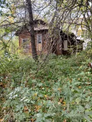 Продается нежилое здание 85.5 кв.м и земельный участок 844 кв.м в Вологодской области, с. Молочное, ул. Шмидта, д. 12. Здание одноэтажное, кадастровый номер 35:24:0601003:134. Земельный участок имеет кадастровый номер 35:24:0601003:1275. Продажа осуществляется с условием разборки (демонтажа)…