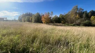 Земельный участок 1137 м² Московская область Площадь земельного участка 1137 Кадастровый номер земельного участка 50:08:0060153:590 Вид разрешённого использования земельного участка 2.2