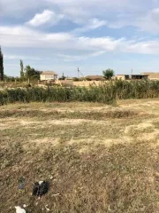 земельный участок, площадь 717 +/  9 кв.м., кадастровый  условный  номер: 05:50:000003:687 земельный участок, площадь 717 +/  9 кв.м., кадастровый  условный  номер: 05:50:000003:687, республика дагестан, р н кумторкалинский, с.темиргое, ул алиева. площадь: 717 +/  9. виды разрешенного использования…