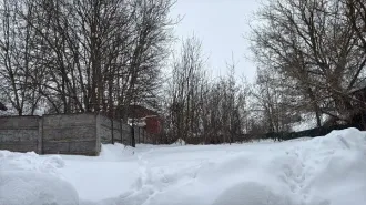 Земельный участок площадью 599 кв.м. Категория: земли населенных пунктов. Вид разрешенного использования: для ведения личного подсобного хозяйства (приусадебный земельный участок). Адрес: Московская область, городской округ Кашира, г. Кашира, ул. Пролетарская. Основной вид разрешенного…