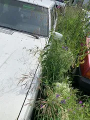 Автомобиль «Вольво 740», г/н У650ОТ102, 1985 г.в., VIN YV1704813F0095973 Автомобиль «Вольво 740», г/н У650ОТ102, 1985 г.в., VIN YV1704813F0095973 
Вид транспорта: легковой автомобиль 
Год выпуска: 1985 
Государственный регистрационный знак: У650ОТ102 
VIN номер: YV1704813F0095973 
Марка: Вольво…