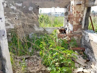 Конечно, пришлите текст объявления, и я его оптимизирую согласно вашим требованиям.