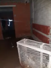Нежилое помещение площадью 124,1 кв.м, кадастровый номер 43:40:000459:3739, адрес: Кировская область, город Киров, улица Ленина, дом 191.