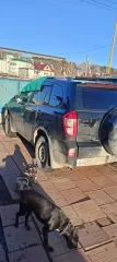 CHERY T11 Tiggo 2013 Legkovoy avtomobil' marki: CHERY, model': T11 Tiggo , god vypuska: 2013g., kuzov №: LVVDB11B2DD185643, identifikatsionnyy nomer (VIN): LVVDB11B2DD185643. Yavlyaetsya predmetom zaloga PAO Sovkombank S predmetom torgov mozhno oznakomit'sya, otpraviv predvaritel'no zapros po…