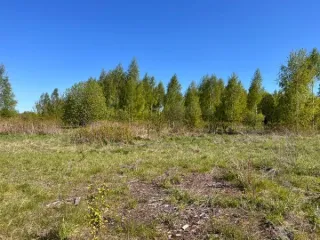 Земельный участок площадью 1891389 кв.м., кад. № 12:03:0202001:73, расположенный по адресу: РМЭ, Килемарский район, в восточной части кад.квартала №12:03:0202001 Вид разрешённого использования земельного участка: 1.0